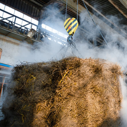 Distillation of lavender